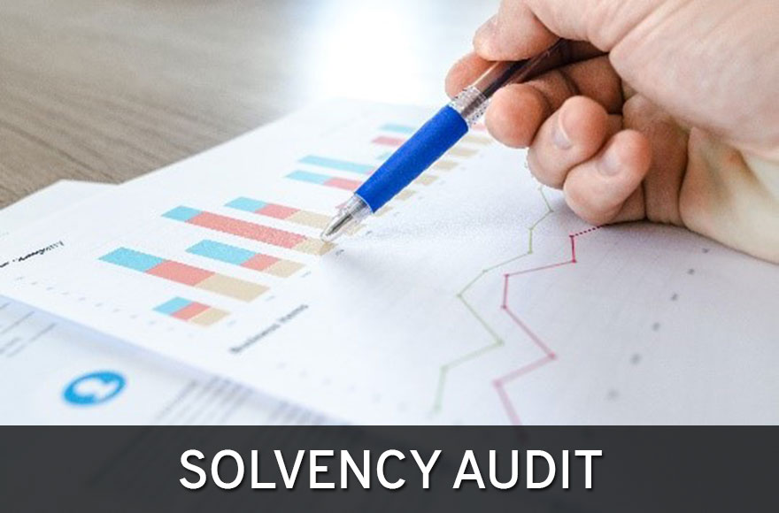 Solvency Audit