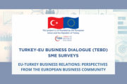 Turkey-EU Business Dialogue (TEBD) - SME Surveys for EU Companies